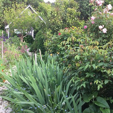 Hahei Kereru Cottage ภายนอก รูปภาพ