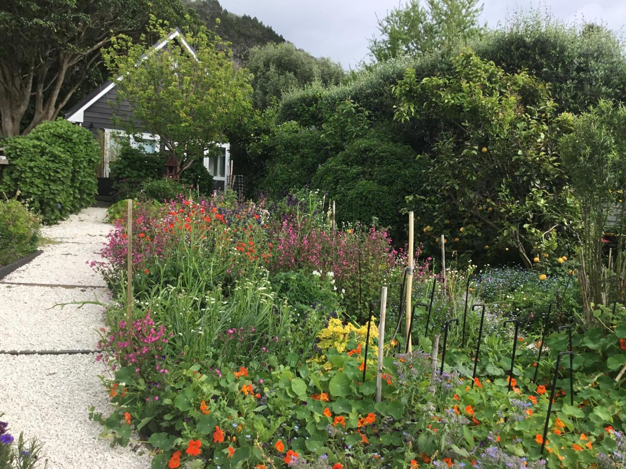 Hahei Kereru Cottage ภายนอก รูปภาพ