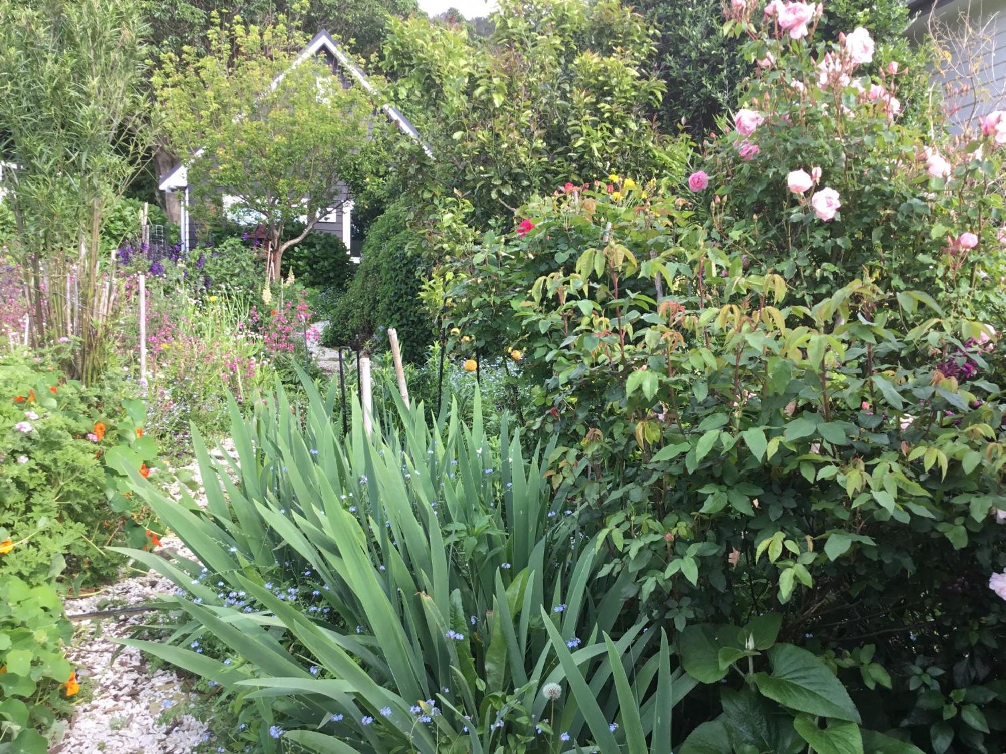 Hahei Kereru Cottage ภายนอก รูปภาพ